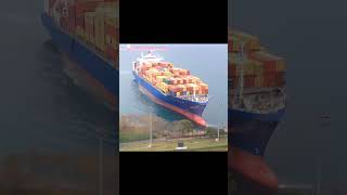 Container ship runs aground [upl. by Eramat]