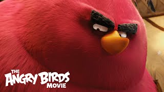 The Angry Birds Movie  Clip Meet Terence [upl. by Aimil]