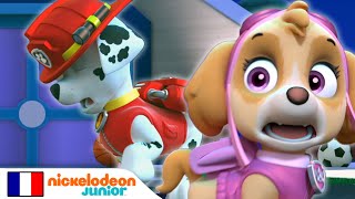 Paw Patrol  La Pat Patrouille  Marcus le somnambule  Nick Jr [upl. by Ries]