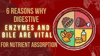 6 Reasons Why Digestive Enzymes and Bile Are Vital for Nutrient Absorption [upl. by Bauske]