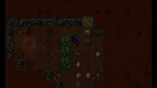 Tibia Quest guide 3  Life ring quest Thais [upl. by Naujik]