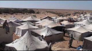 Campamento GDEIM IZIK  Les sahraouis assiégés Devoir de mémoire devoir daction [upl. by Ursala]