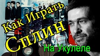 Как Играть quotСплин Александр Васильев  Выхода Нетquot Урок На Укулеле Для Начинающих [upl. by Quintessa206]