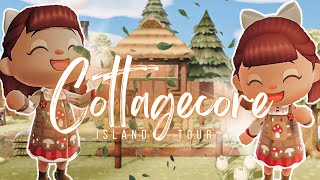 MUST SEE Cottagecore Island Tour  Animal Crossing New Horizons [upl. by Cordula]