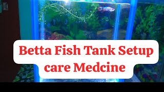 Betta Fish Tank Setup care Medcine [upl. by Sirromal]