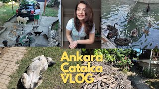 ORTAYA KARIŞIK VLOG  ANKARA  ÇATALCA [upl. by Atinoj]