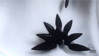 Ferrofluid  Multiples attractors [upl. by Rolland]