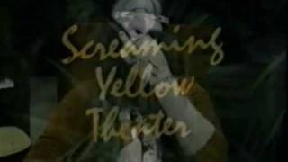 Screaming Yellow Theater Svengoolie  quotEyeball Calisthenicsquot 1972 [upl. by Marnia]