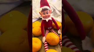 ELF ON THE SHELF IDEAS elfontheshelfchallenge elf ideas [upl. by Greer]