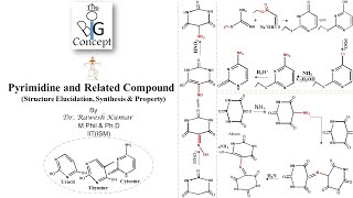 Pyrimidines amp Related compounds Structure Elucidation Synthesis amp Property [upl. by Deuno8]