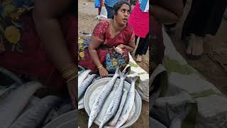 shortskakinada live fish marketkakinada sea port [upl. by Rammaj]