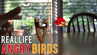 Custom Angry Birds Animation Bad Piggies [upl. by Sherrard927]