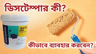 ডিসটেম্পার কী এবং কীভাবে লাগানো হয় How to use Distemper paint Distemper paint on wall [upl. by Mika]