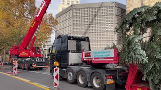 Ein Weihnachtsbaum für den Breitscheidplatz 10112023￼ [upl. by August]