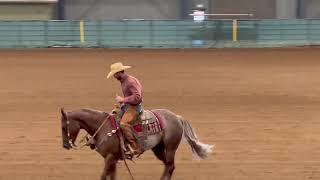 Horse Reining Competition [upl. by Mcdougall]