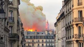 Paris Notre Dame Cathedral fire spire falling down [upl. by Hnaht]