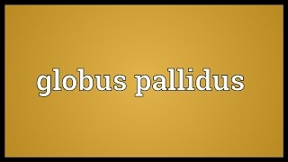 Globus pallidus Meaning [upl. by Stolzer]