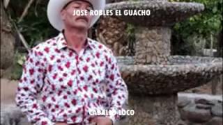 Jose Robles El Guacho  Caballo Loco Corrido de Caballo [upl. by Sato]