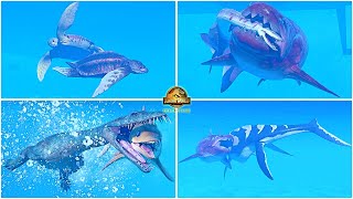 New Prehistoric Marine Species Pack All Animations amp Other Interactions 🦖 Jurassic World Evolution 2 [upl. by Christensen]