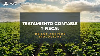 TRATAMIENTO CONTABLE Y FISCAL DE LOS ACTIVOS BIOLÓGICOS [upl. by Basile672]