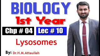 Lysosomes  Chapter 4  1st year Biology  Lec  10 [upl. by Mchugh]