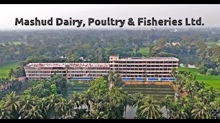 Mashud Dairy Poultry and Fisheries Ltd [upl. by Soulier]