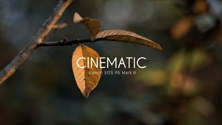 Canon EOS R5 Mark II Cinematic 4k Video Footage [upl. by Hyps]