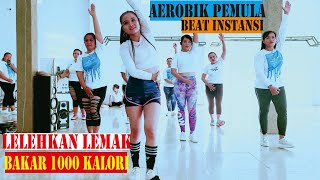 AEROBIK 30 menit membakar lemak untuk pemula lagu terbaru [upl. by Sitnerp874]