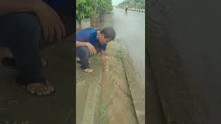 Remove Rain Water To Culvert Drain culvert unclog shorts [upl. by Sirehc872]