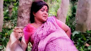 बंदर ने बचाई अपने मालकिन की जान  Zabardast Action Scene  Jeene Ki Arzoo Movie Scene [upl. by Ansev]