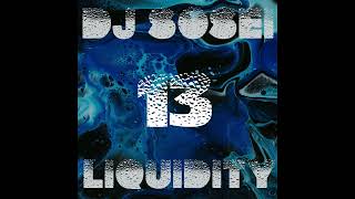 DJ Sosei  Liquidity 13 Liquid Drum amp Bass [upl. by Akirdnas519]