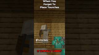 POV Forgetting to place torches… minecraft minecraftshorts minecraftmemes repost [upl. by Innavoeg938]