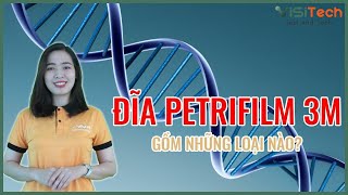 Đĩa Petrifilm 3M dùng để làm gì Bật mí các ưu nhược điểm của Petrifilm 3M [upl. by Vail]