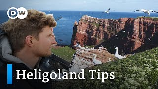 Heligoland Travel Tips  Heligoland History Shanties Nature  Visit the North Sea Island [upl. by Frechette]