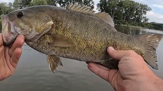 CHASING SUMMER SMALLMOUTH  DIDNT EXPECT THIS [upl. by Urial]