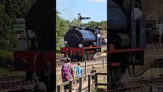 Hunslet Austerity WD192 Waggoner on the Isle of Wight Steam Railway [upl. by Winou]