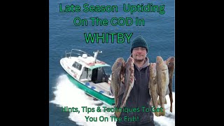 Uptide Cod Fishing In Whitby [upl. by Eiruam43]