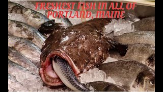 A visit to Harbor Fish Market in Portland Maine [upl. by Lennard]