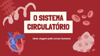 Sistema Circulatório [upl. by Hpsoj827]