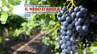 Nero DAvola  Sicilia [upl. by Bathsheeb]