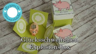 Glücksschweinchen Explosionsbox [upl. by Ahseret]