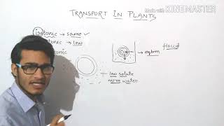 Plasmolysis explained in detail turgid  flaccid and plasmolysed cells [upl. by Fagaly422]