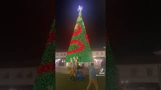 Christmas Tree Lighting [upl. by Lani]