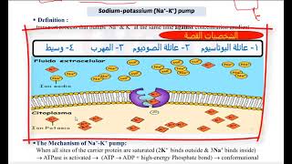 lecture 2 active transport [upl. by Idleman234]