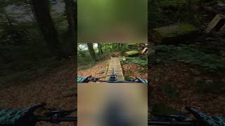 Forest cruising mtb lifestyle trail [upl. by Esidnac]