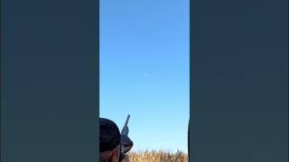 This is how you practice for duck hunting short shooting [upl. by Ramburt]