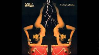 1  Crying Lightning  Arctic Monkeys [upl. by Sadiras]