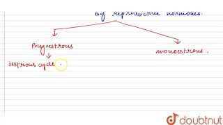 What is oestrous cycle [upl. by Atena]