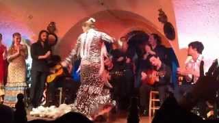 Flamenco dance show at Tablao Cordobes in Barcelona [upl. by Cher]