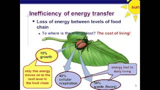 Ecology  Ecosystem Dynamics [upl. by Nolham]